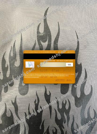 Slovenia Intesa Sanpaolo Bank, Poslovalnica Koper bank visa elecron card photolook back